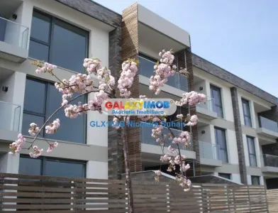 APARTAMENT 3 CAMERE BANEASA -SISESTI ETAJ 1 - foto 3