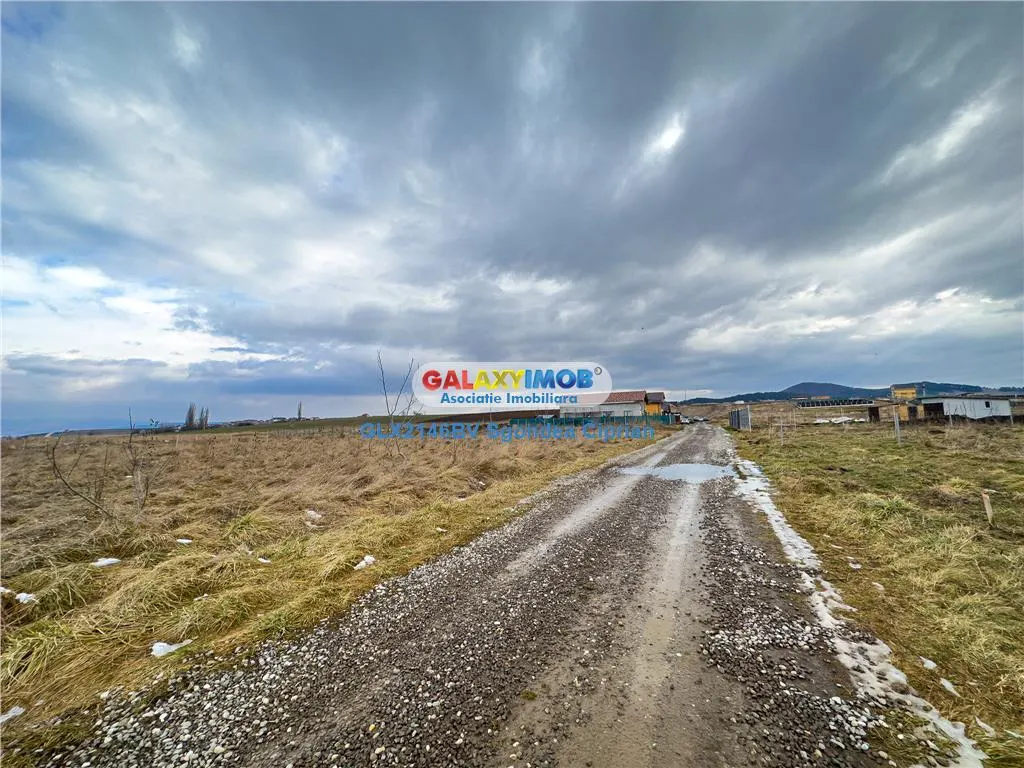 Teren Sanpetru 2 parcele ideale pentru investitie - foto 1