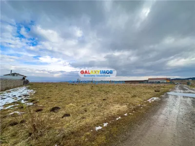 Teren Sanpetru 2 parcele ideale pentru investitie - foto 3