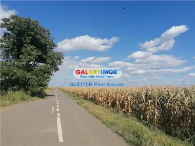 Teren Gruiu Nuci  15300 mp la sosea langa sat - foto 2