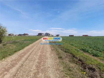 Teren  Lac Balotesti 1 ha lotizat 14 loturi casa utilitati - foto 3