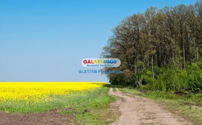 Teren latura Padure  Dascalu Runcu 22400 mp  intravilan - foto 2