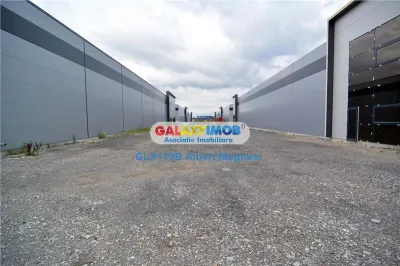 Vanzare Spatiu Depozitare/Hala Centura-Mogosoaia - foto 5
