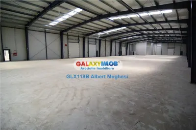 Vanzare Hala 1500 mp Centura Mogosoaia - foto 7