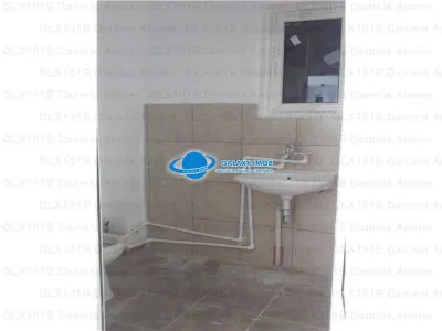 Inchiriere Vila , Zona Stefan cel Mare , Vasile Lascar - foto 12
