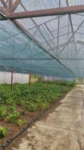 AFACERE LA CHEIE – HALA PRODUCTIE + SERA PROFESIONALA - foto 13