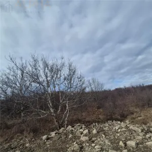 Teren intravilan de vanzare – Sigmir, Str. Soarelui - foto 4
