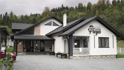 Pensiunea Freya e De Vanzare! 10 camere, 21ari Teren + Cabana A Frame - Colibita