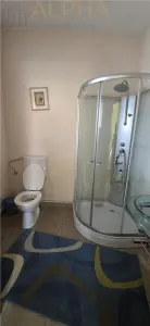Casa renovata de vanzare Crainimat , BN cu teren 3148 mp - foto 8