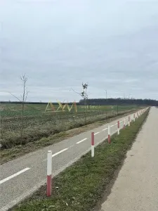 Teren, la padure, Giroc - foto 3