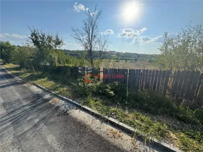 teren de vanzare Todirel - foto 5