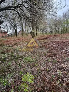 Teren intravilan in spate la Castel Transilvania 1.000mp - Grosi