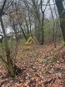 Teren intravilan in spate la Castel Transilvania 1.000mp - foto 6