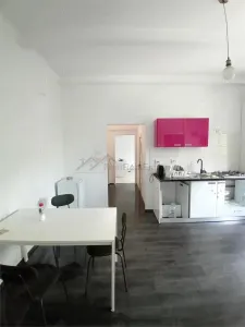 Spatiu Comercial Tineretului - foto 3