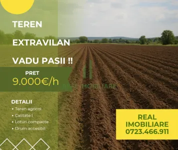 Terenuri agricole Vadu Pasii !! - Vadu Pasii