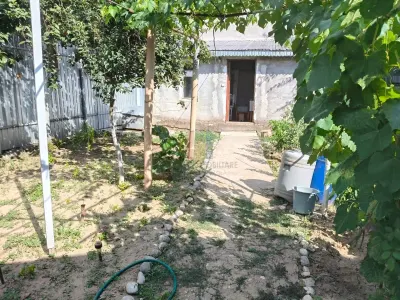 Casa 4 camere, Radu Negru - Buzaului, Teren - 264 mp - foto 8