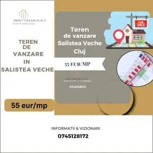 Terenuri de vanzare cu PUZ in Salistea Veche - Salistea Veche