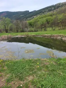 Teren intravilan cu utilitati, zona turistica Bulz,Bihor - Bulz