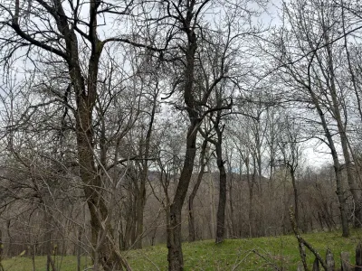 Teren intravilan 1518 mp, constructie, Sotrile, Prahova - 24 EUR/mp - foto 10