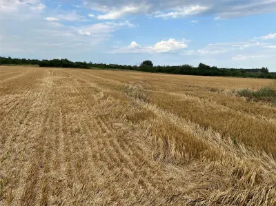 Teren intravilan 7100 mp de vanzare in Paulesti, Cocosesti – ideal pentru locuinte P+2E - Cocosesti