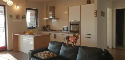 Inchiriere  apartament  2 camere Ploiesti, zona Albert - foto 9