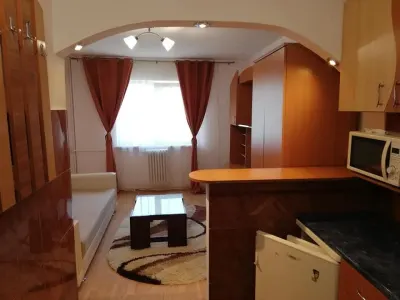 GARSONIERA UZINA 2 - foto 4