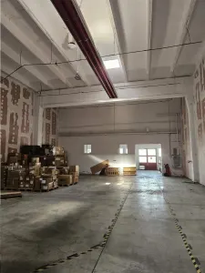 Spatiu Industrial - 3300 mp - Productie - Depozitare - Distributie - foto 16