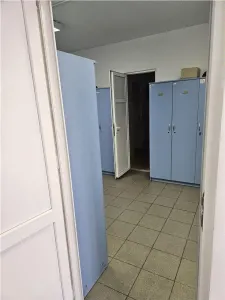 Exclusivitate - Proprietate Industriala De Inchiriat - Productie - Depozitare - foto 22