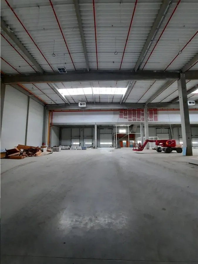 Spatiu Industrial - 3000 mp - Logistica - Productie - Depozitare - Distributie - foto 3