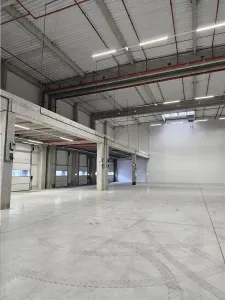 Spatiu Industrial - 7500 mp - Logistica - Productie - Depozitare - Distributie - foto 5