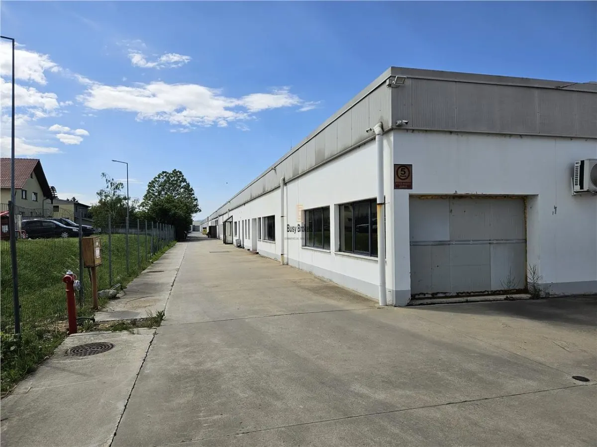 Spatiu Industrial - 5000 mp - Productie - Depozitare - foto 17