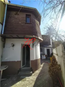 Vanzare vila viitorului - Bucuresti