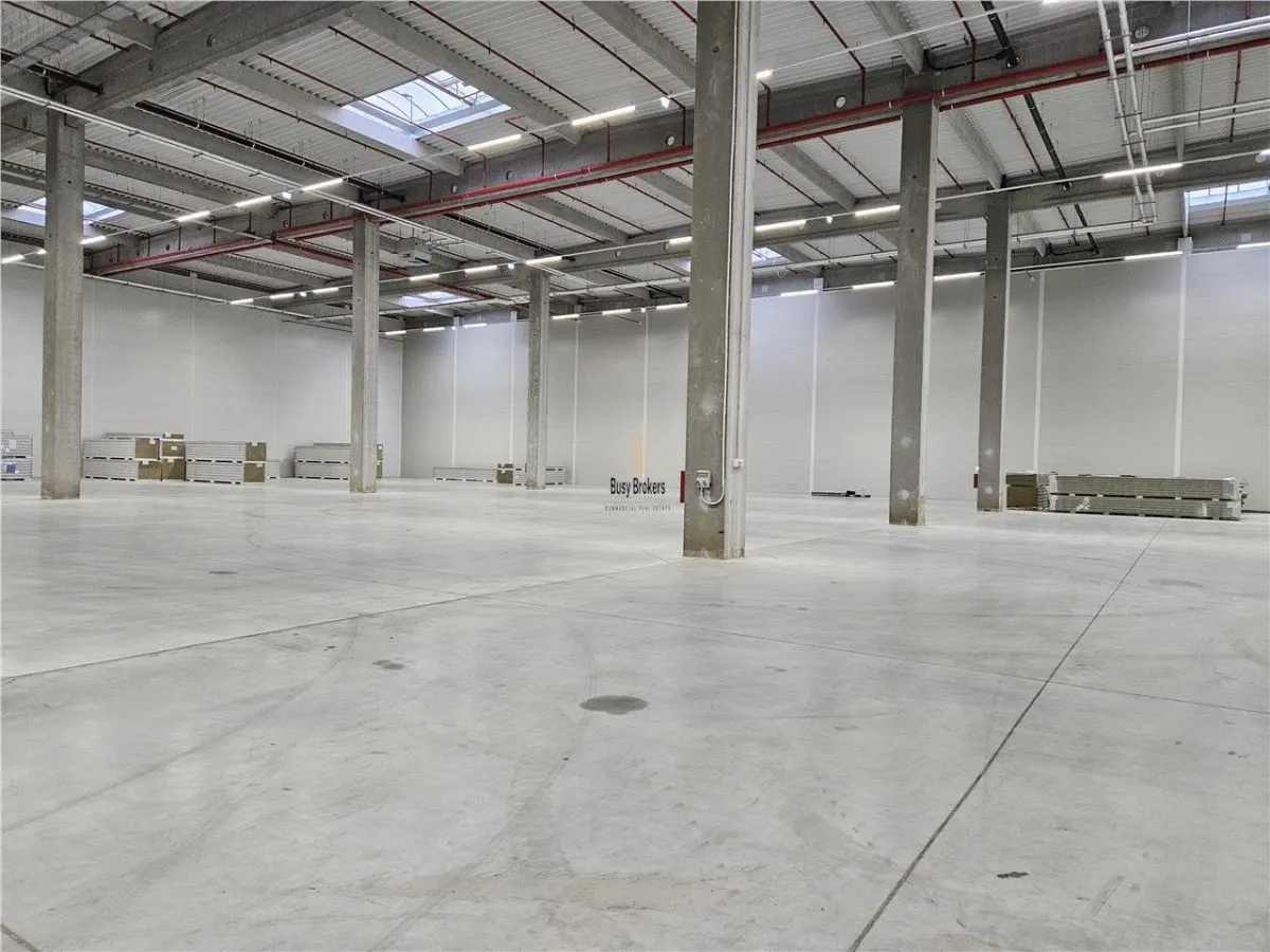 Spatiu Industrial - 6000 mp - Logistica - Productie - Depozitare - Distributie - foto 6