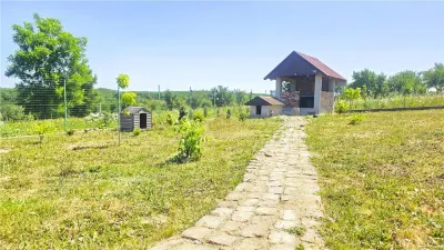 VIDEO | Loc pentru casa, cabana sau cazare turistica in Ardud | Vedere de vis spre Satu Mare si padure - foto 13