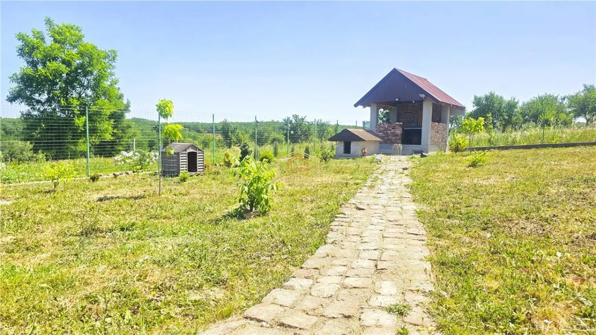 VIDEO | Loc pentru casa, cabana sau cazare turistica in Ardud | Vedere de vis spre Satu Mare si padure - foto 13