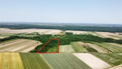 Teren de vanzare - 15.740 mp | Viile Satu Mare | Priveliste superba | Ideal pentru agrement sau investitie turistica - Satu Mare
