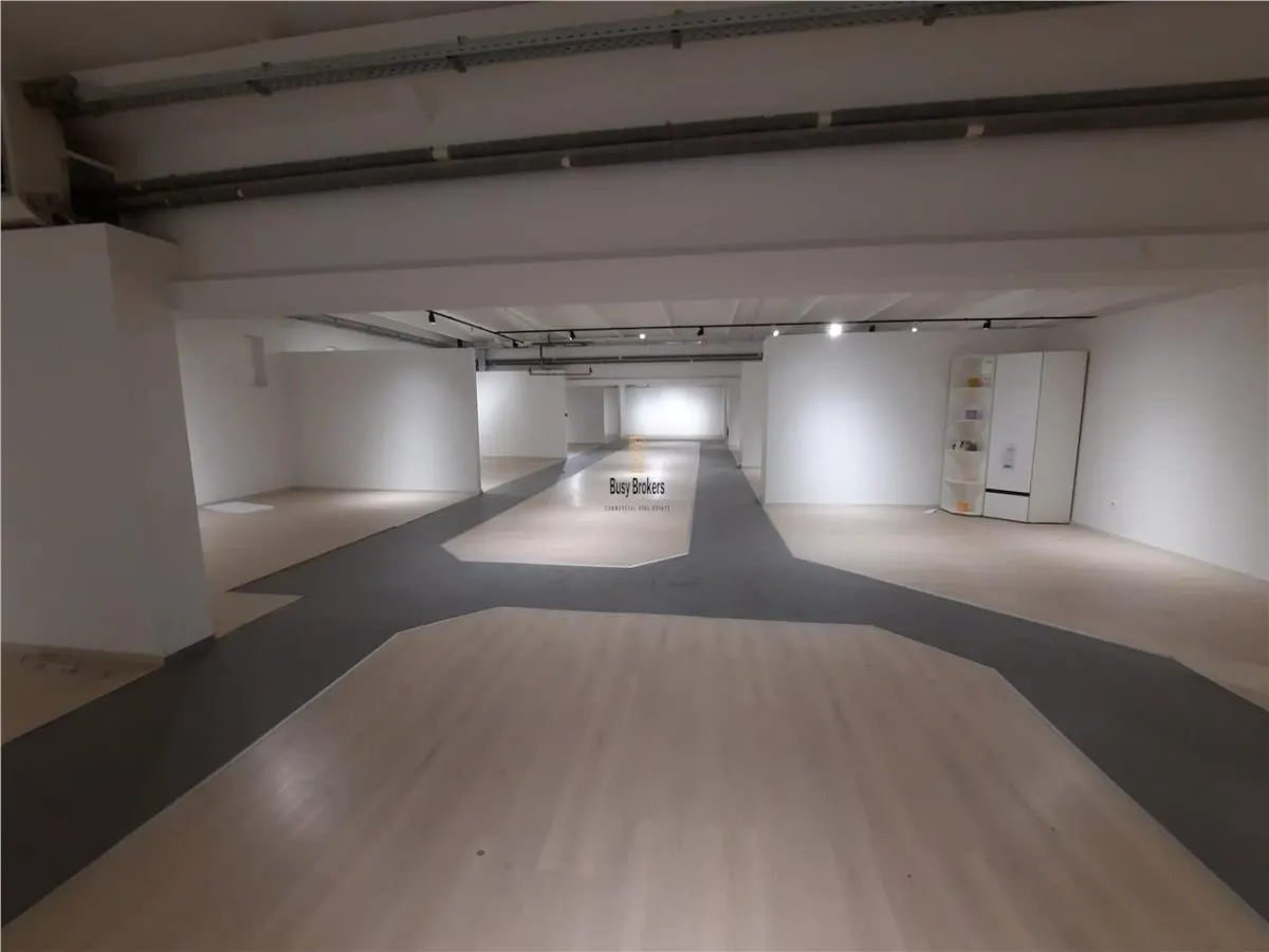 Spatii Comerciale - 500 mp - Showroom - Comert - foto 11