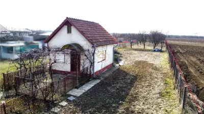 VIDEO | Teren generos, cu livada si casa de vacanta in Satu Mare - foto 4