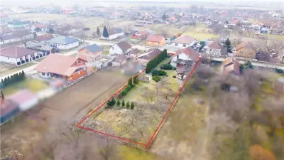 VIDEO | Aproape de oras: Casa cu 3 dormitoare, curte frumoasa si terasa cu gratar - foto 2