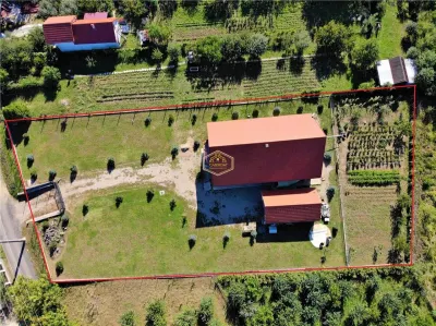 VIDEO | Vila spatioasa cu 6 camere, crama si teren generos | Bercu Rosu - foto 2