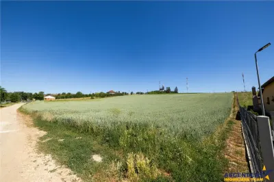 5 loturi casa Maierus,1.375mp,langa DN13, Doripesco,Brasov: 35min, zona verde:FILM! - foto 12