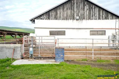 Ferma+Anexe specifice+ Constructie rezidentiala+222.000 mp domeniu - foto 18
