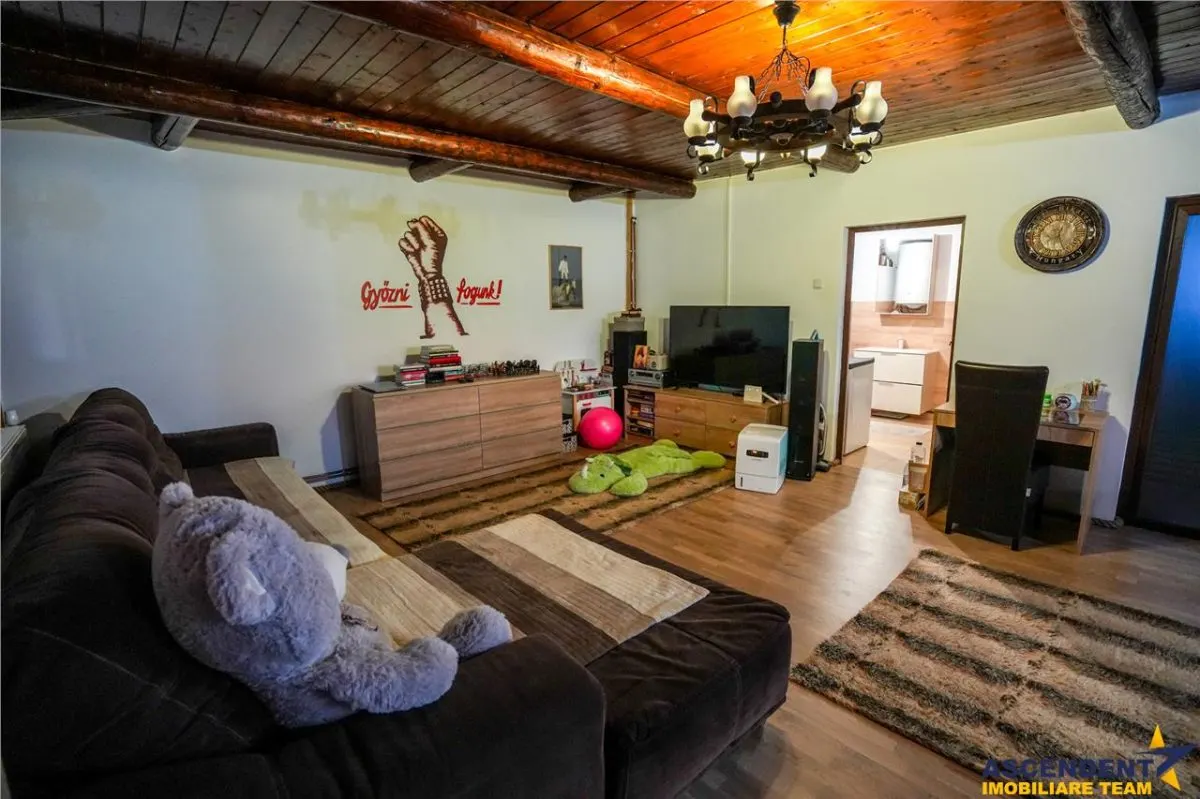 Ferma+Anexe specifice+ Constructie rezidentiala+222.000 mp domeniu - foto 6