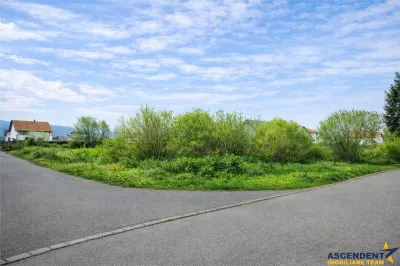 800 mp intravilan,in cartier tanar,drum deschis,energie la poarta, Prejmer – Brasov - foto 3