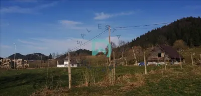 Vanzare teren intravilan, Bran, Brasov - foto 24