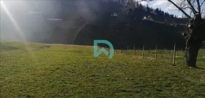 Vanzare teren intravilan, Bran, Brasov - foto 10