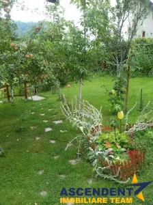 Cu vedere panoramica la Bucegi Bran-Moieciu - foto 2
