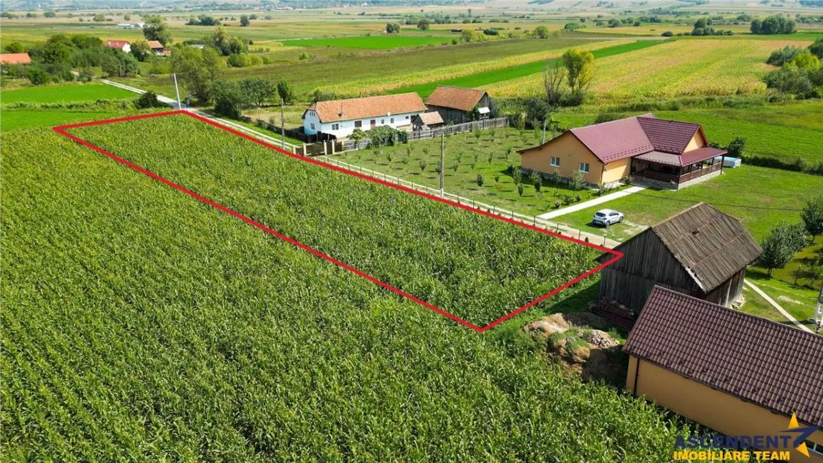 2.000mp intravilan, Bacel, zona linistita, intre Brasov si Sfantu Gheorghe,acces facil - foto 3