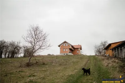 FILM! Domeniu de 5.000mp +Casa, in Berchez:o bijuterie ascunsa a Maramuresului - foto 2