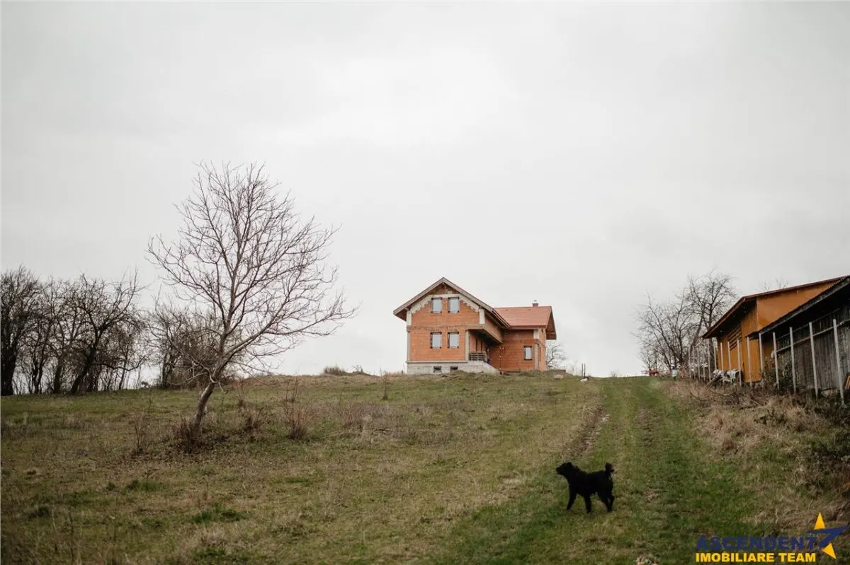 FILM! Domeniu de 5.000mp +Casa, in Berchez:o bijuterie ascunsa a Maramuresului - foto 2